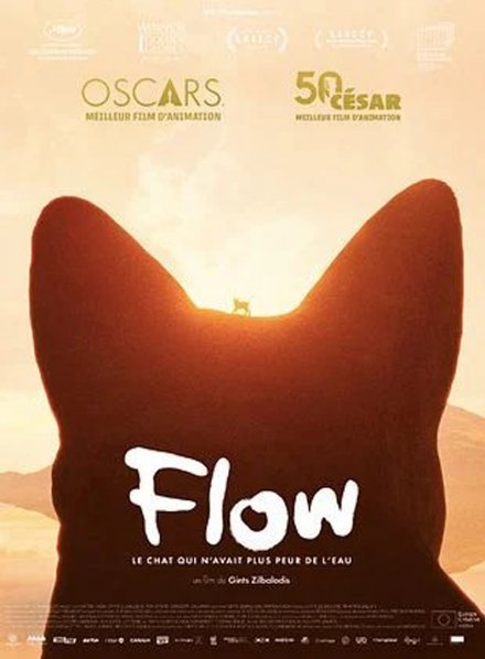 FLOW, le chat qui n’avait plus peur de l’eau